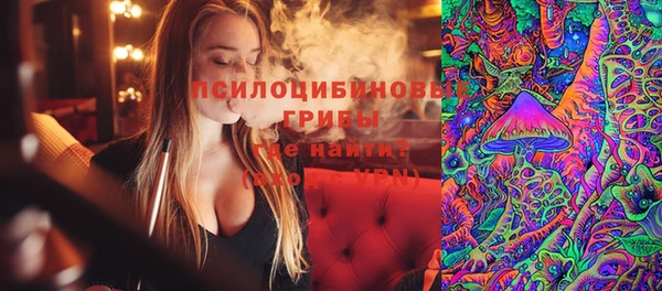 дживик Калининец