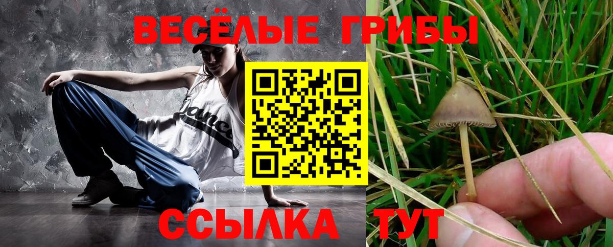 Южноуральск  цены   Вход с VPN  Псилоцибиновые грибы Psilocybine cubensis  Псилоцибиновые грибы MAGIC MUSHROOMS 